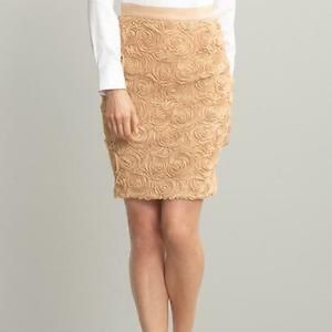 Banana Republic Skirts | Banana Republic Rosette Mini Skirt Size: 14